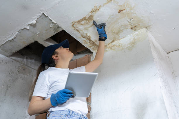Fire Damage Repair